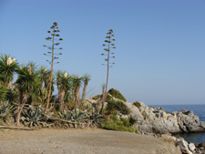 La Herradura